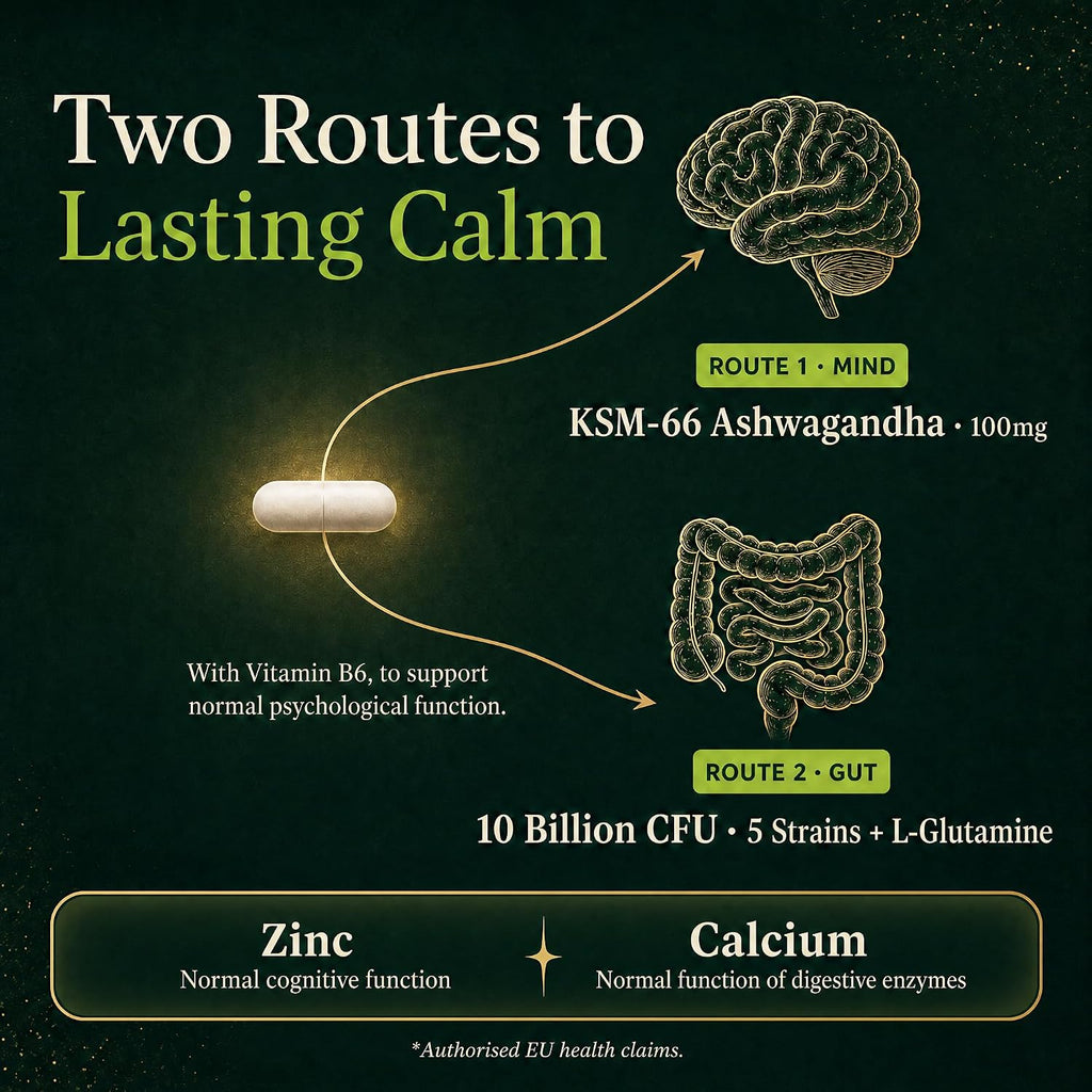 An infographic titled 'Two Routes to Lasting Calm' on a dark green background, showing a capsule with arrows pointing to a brain labeled 'Route 1: Mind' and intestines labeled 'Route 2: Gut'. Text mentions KSM-66 Ashwagandha, 100mg, and 10 Billion CFU of 5 Strains + L-Glutamine, with zinc and calcium benefits at the bottom.