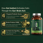Gut Instinct